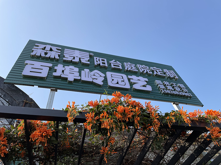 97国际(中国区) - 官方网站